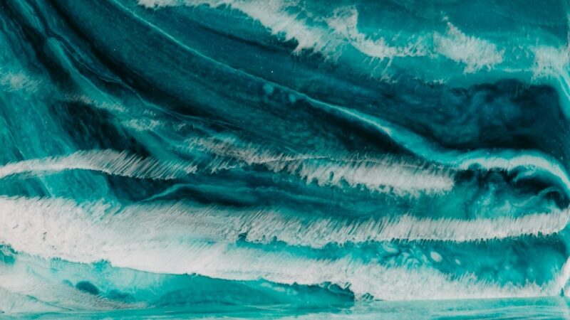 Every Major Epoxy Brand in One Place: The Complete Guide for Woodworkers and Makers